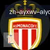 爱游戏体育 logo